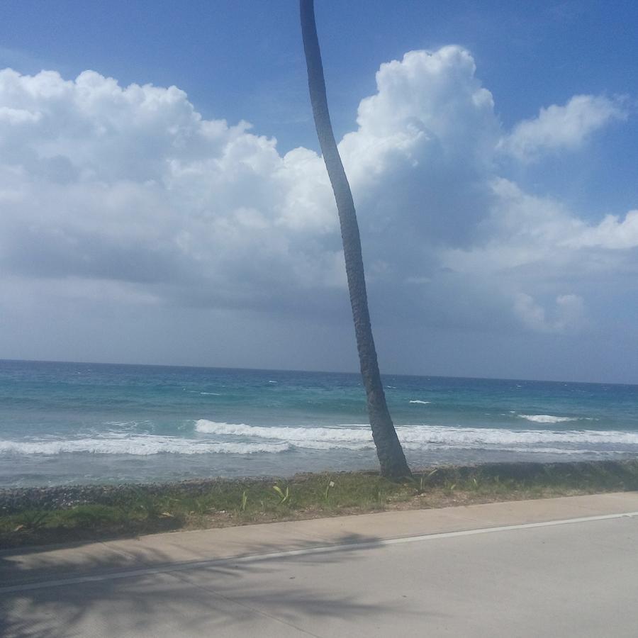 Apartahotel Miramar San Andrés Oda fotoğraf